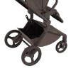 Καρότσι Anex Flo 2in1 Browny