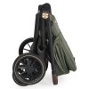 Καρότσι Cangaroo Celebrity 2in1 Deep Green Καρότσι Cangaroo Celebrity 2in1 Deep Green
