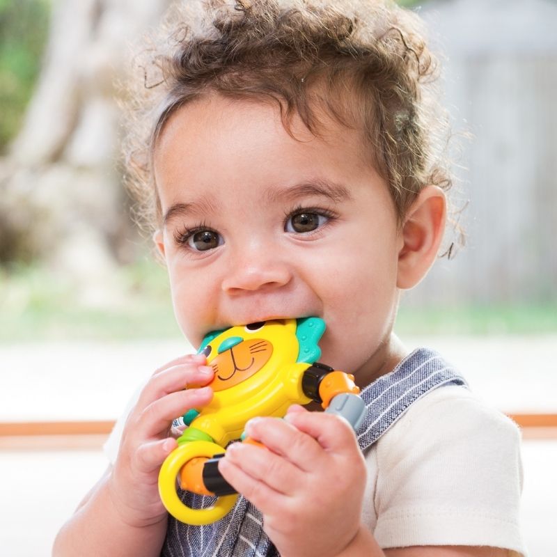 Μασητικό Infantino Lion Teether