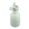 Παγούρι Ανοξείδωτο Kikka Boo 350ml Flora Sage
