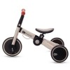 Τρίκυκλο Ποδήλατο Kinderkraft 4TRIKE Silver Grey