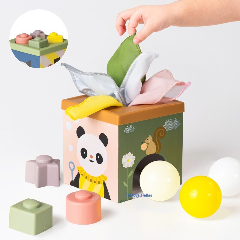 Εκπαιδευτικό Παιχνίδι Taf Toys Play & Discover Cube