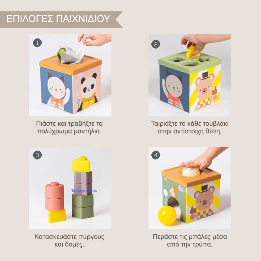 Εκπαιδευτικό Παιχνίδι Taf Toys Play & Discover Cube