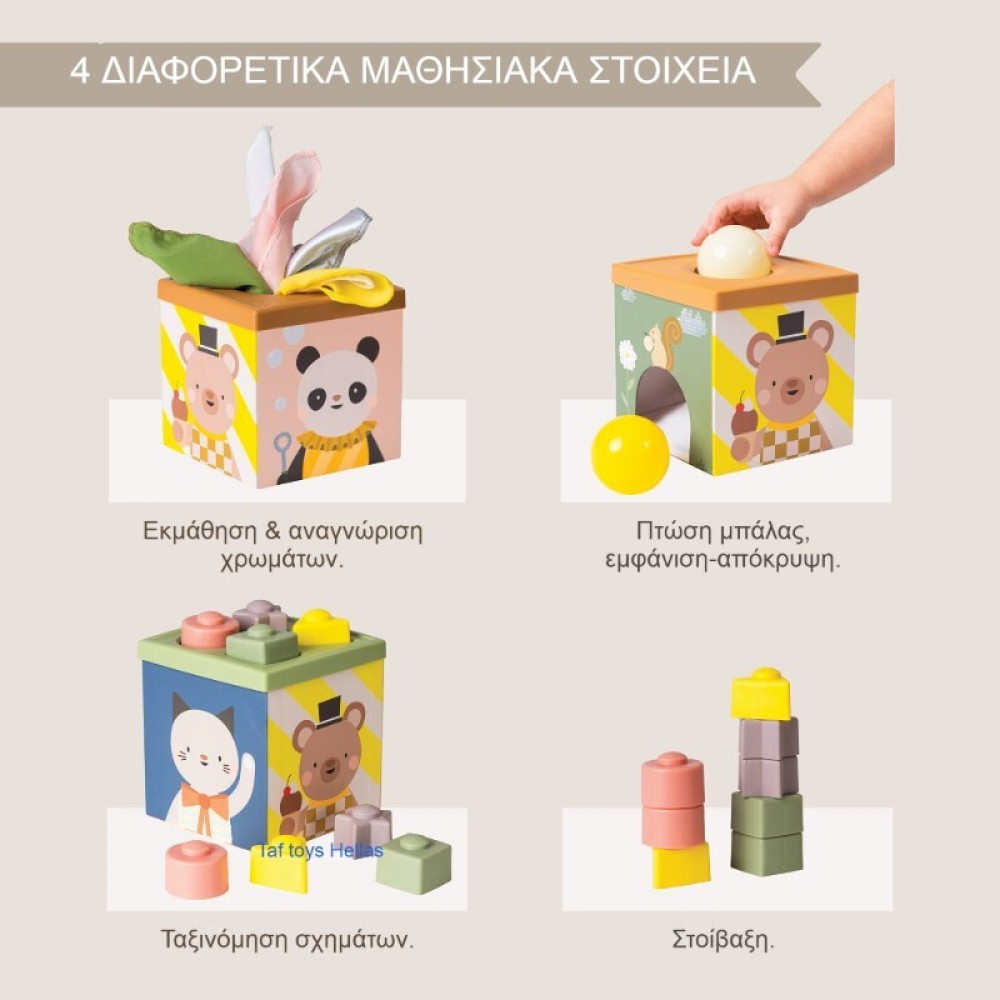 Εκπαιδευτικό Παιχνίδι Taf Toys Play & Discover Cube