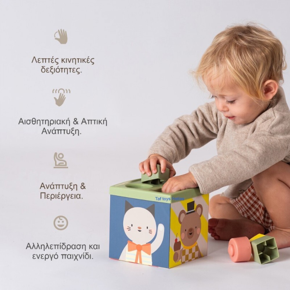Εκπαιδευτικό Παιχνίδι Taf Toys Play & Discover Cube