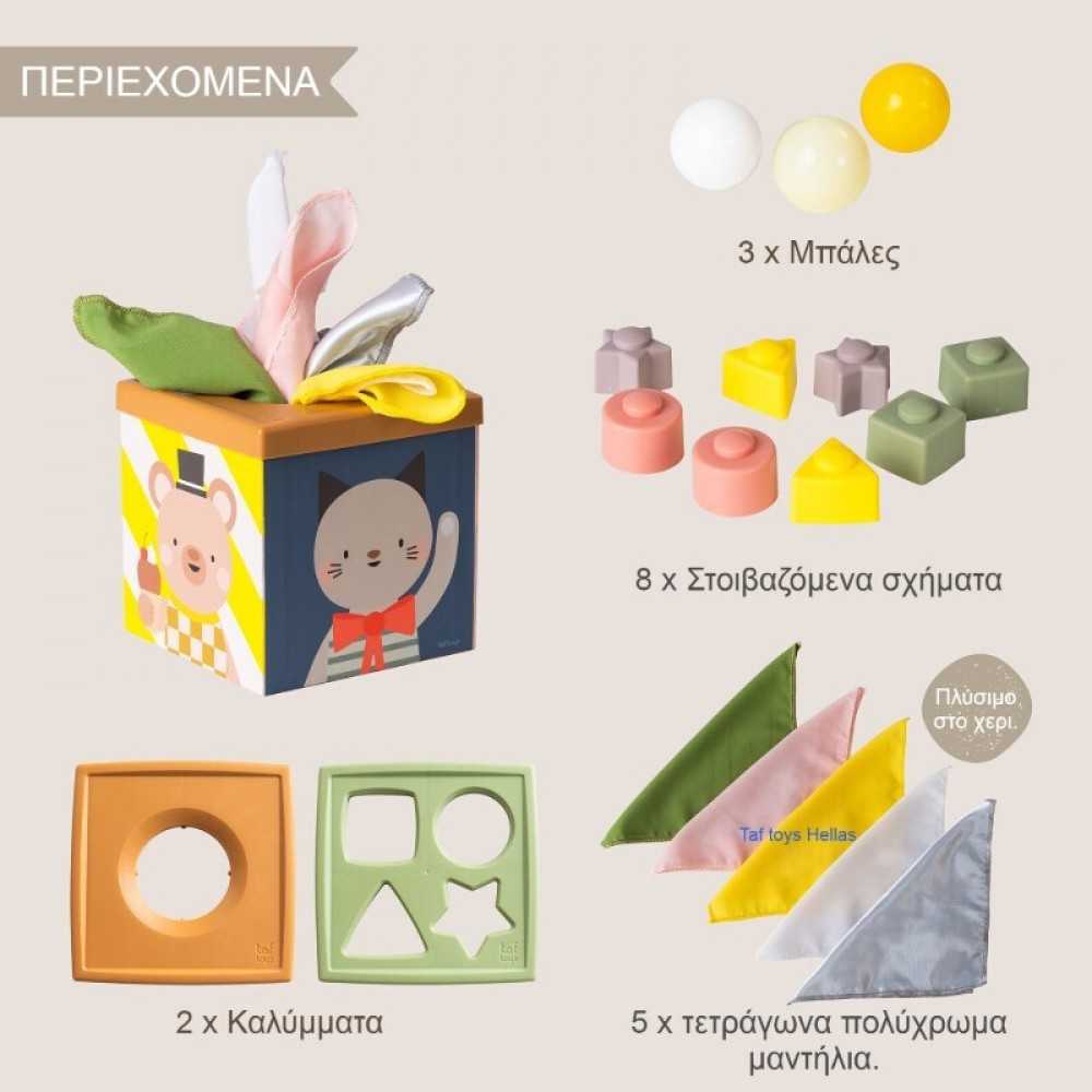 Εκπαιδευτικό Παιχνίδι Taf Toys Play & Discover Cube