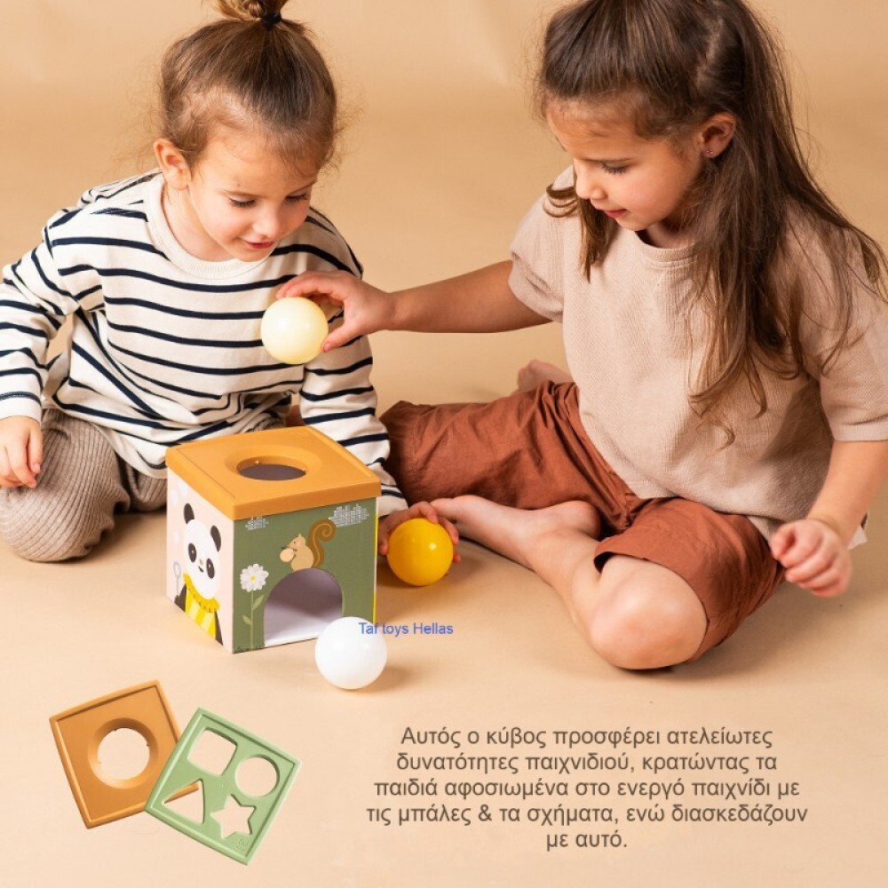 Εκπαιδευτικό Παιχνίδι Taf Toys Play & Discover Cube