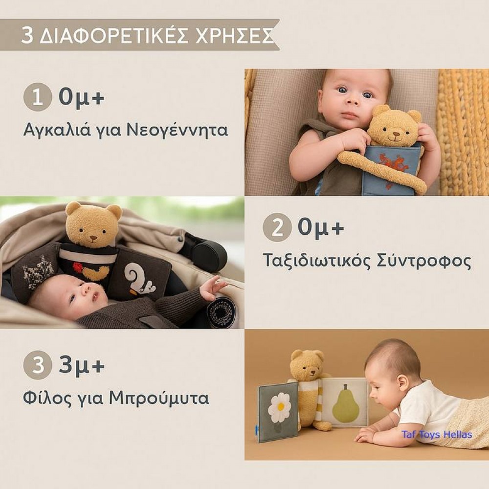 Βιβλίο Δραστηριοτήτων Taf Toys Snuggle Bear Book