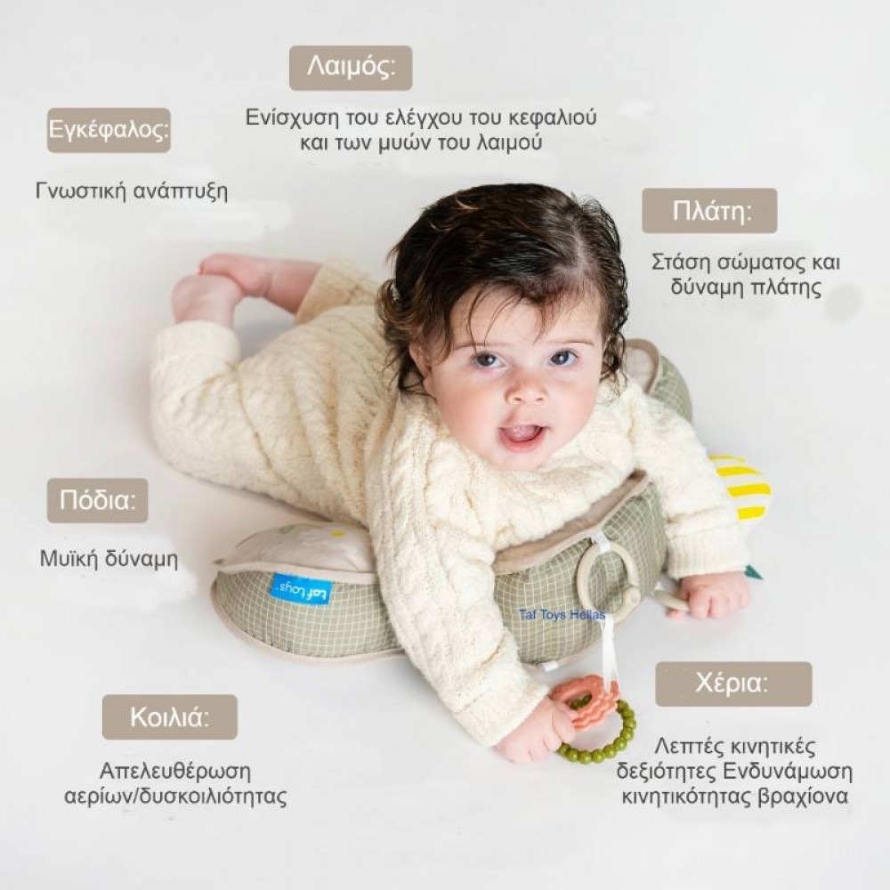 Μαξιλάρι Δραστηριοτήτων Taf Toys Panda Tummy Time Pillow