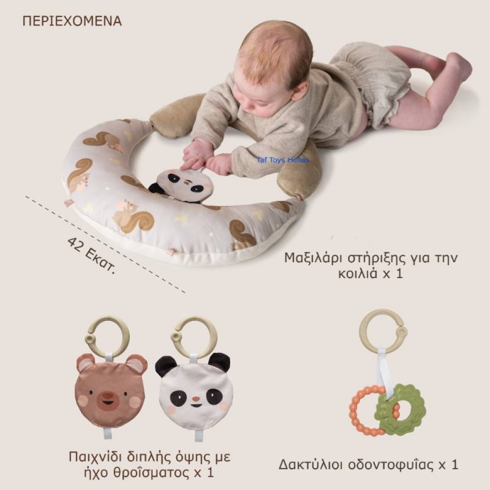 Μαξιλάρι Δραστηριοτήτων Taf Toys Tummy Time First