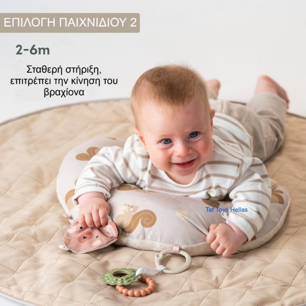 Μαξιλάρι Δραστηριοτήτων Taf Toys Tummy Time First