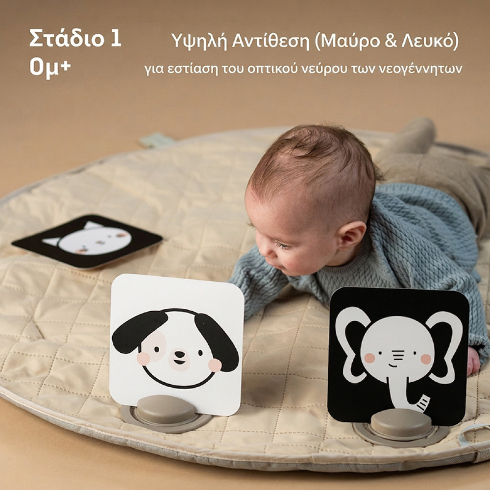 Εκπαιδευτικό Παιχνίδι Taf Toys My 1st Discoveries Flash Cards