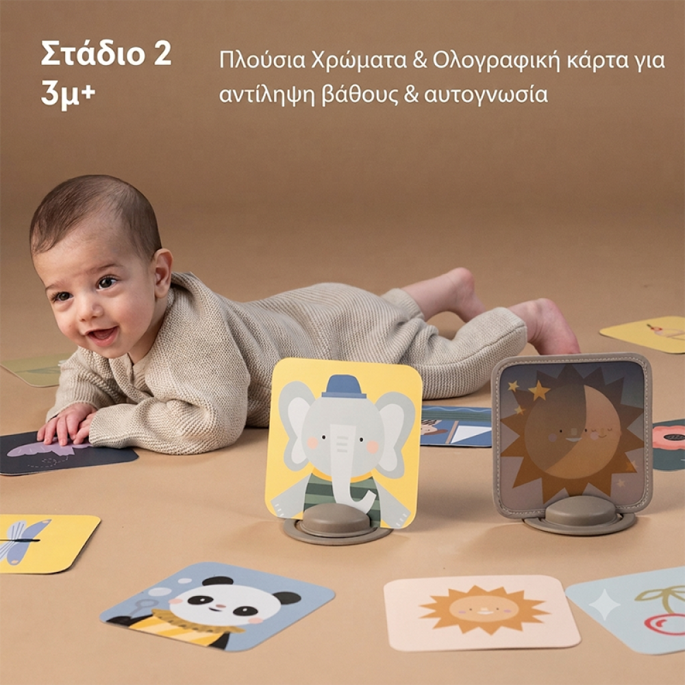 Εκπαιδευτικό Παιχνίδι Taf Toys My 1st Discoveries Flash Cards