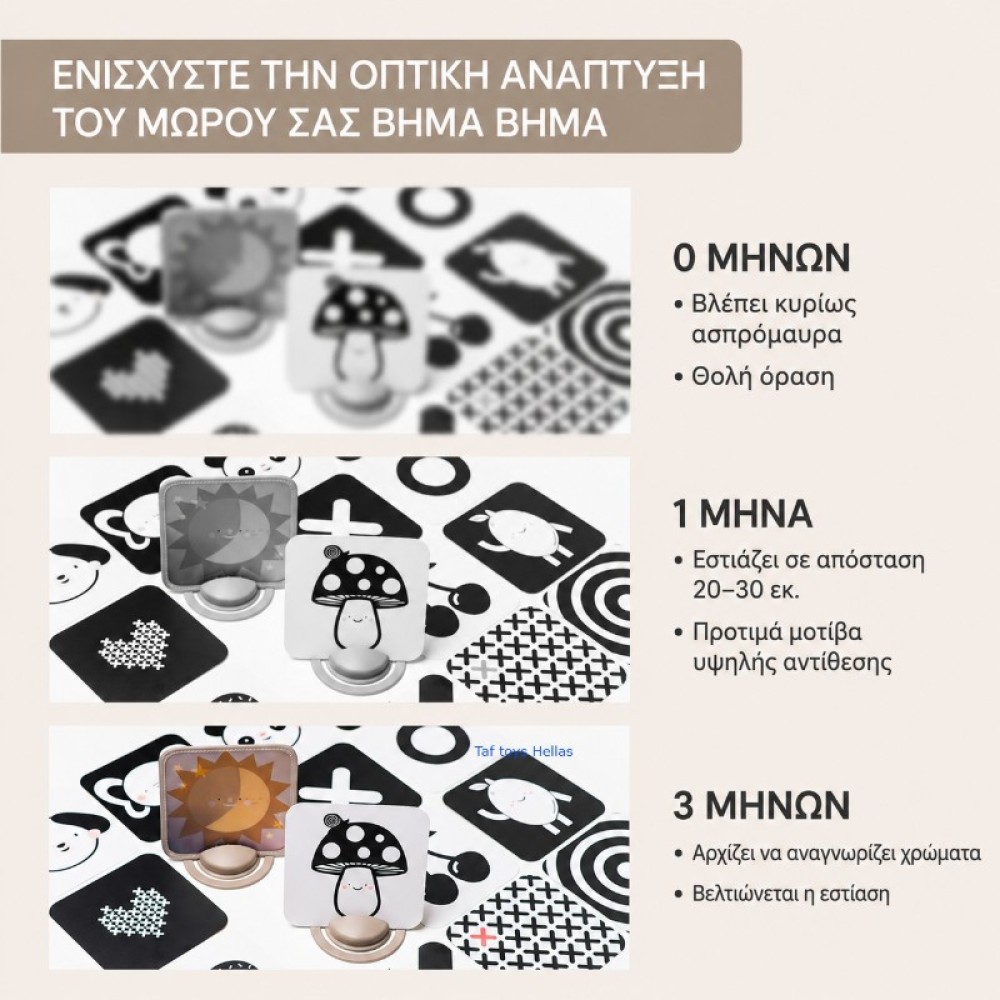Εκπαιδευτικό Παιχνίδι Taf Toys My 1st Discoveries Flash Cards