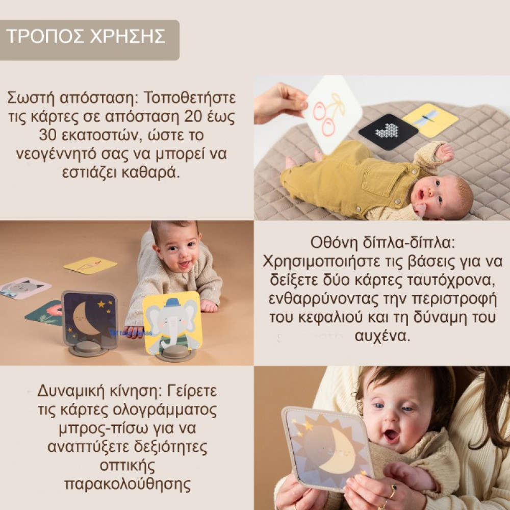 Εκπαιδευτικό Παιχνίδι Taf Toys My 1st Discoveries Flash Cards