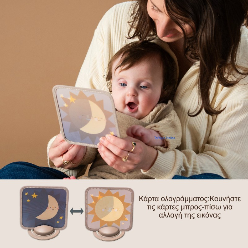 Εκπαιδευτικό Παιχνίδι Taf Toys My 1st Discoveries Flash Cards
