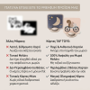 Εκπαιδευτικό Παιχνίδι Taf Toys My 1st Discoveries Flash Cards