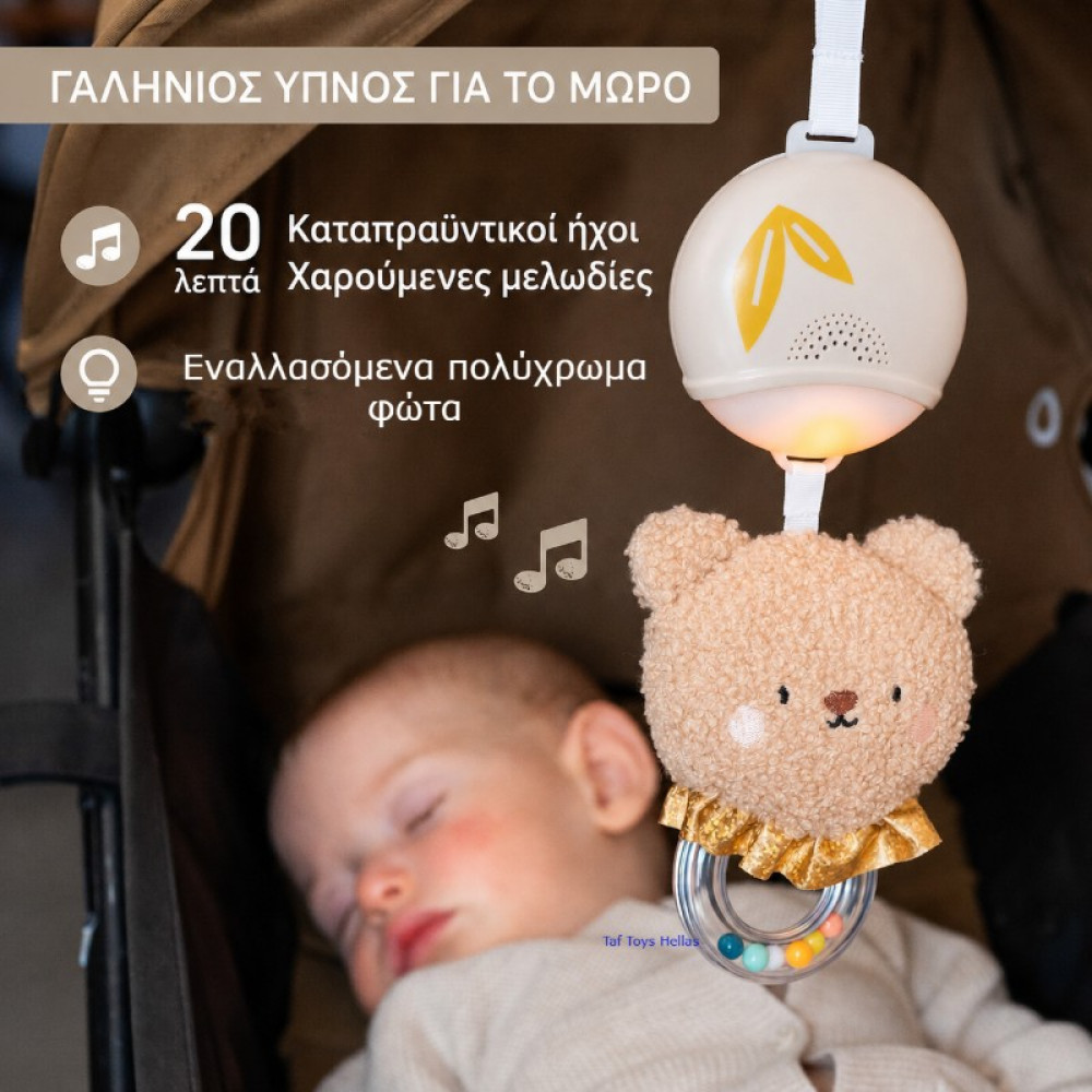 Κρεμαστό Μουσικό Παιχνίδι Taf Toys Musical Bear