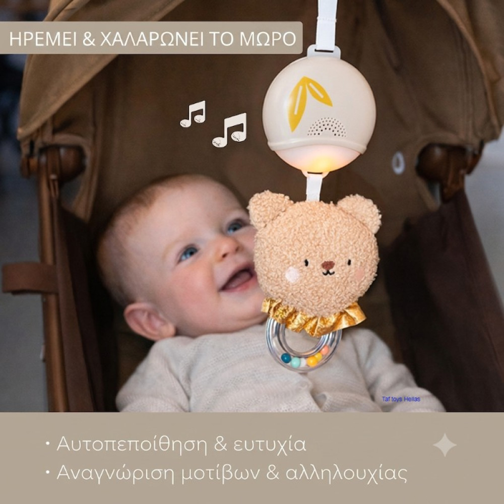 Κρεμαστό Μουσικό Παιχνίδι Taf Toys Musical Bear