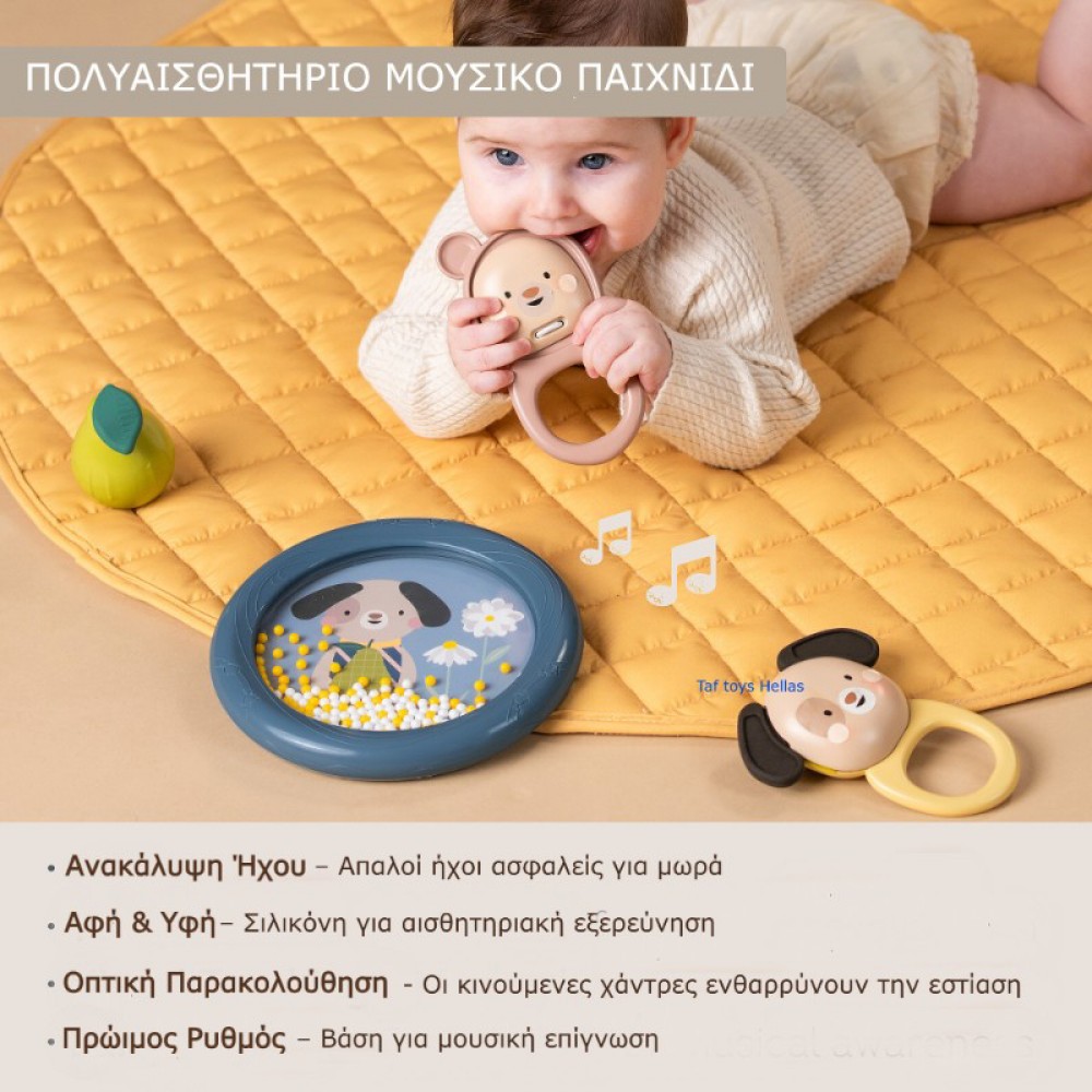 Μουσικό Παιχνίδι Δραστηριοτήτων Taf Toys Kit