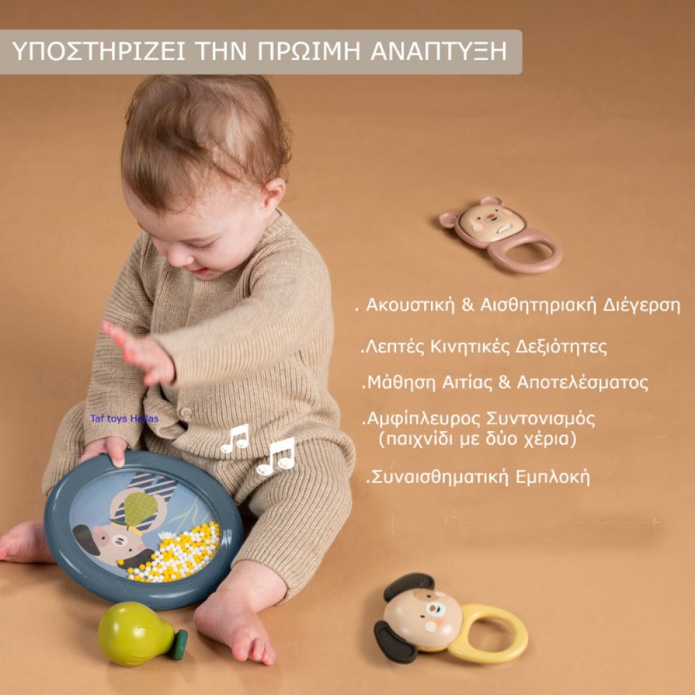 Μουσικό Παιχνίδι Δραστηριοτήτων Taf Toys Kit