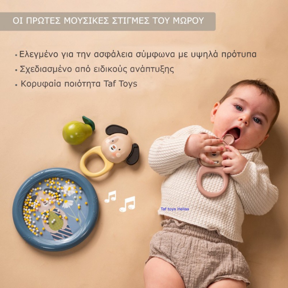 Μουσικό Παιχνίδι Δραστηριοτήτων Taf Toys Kit