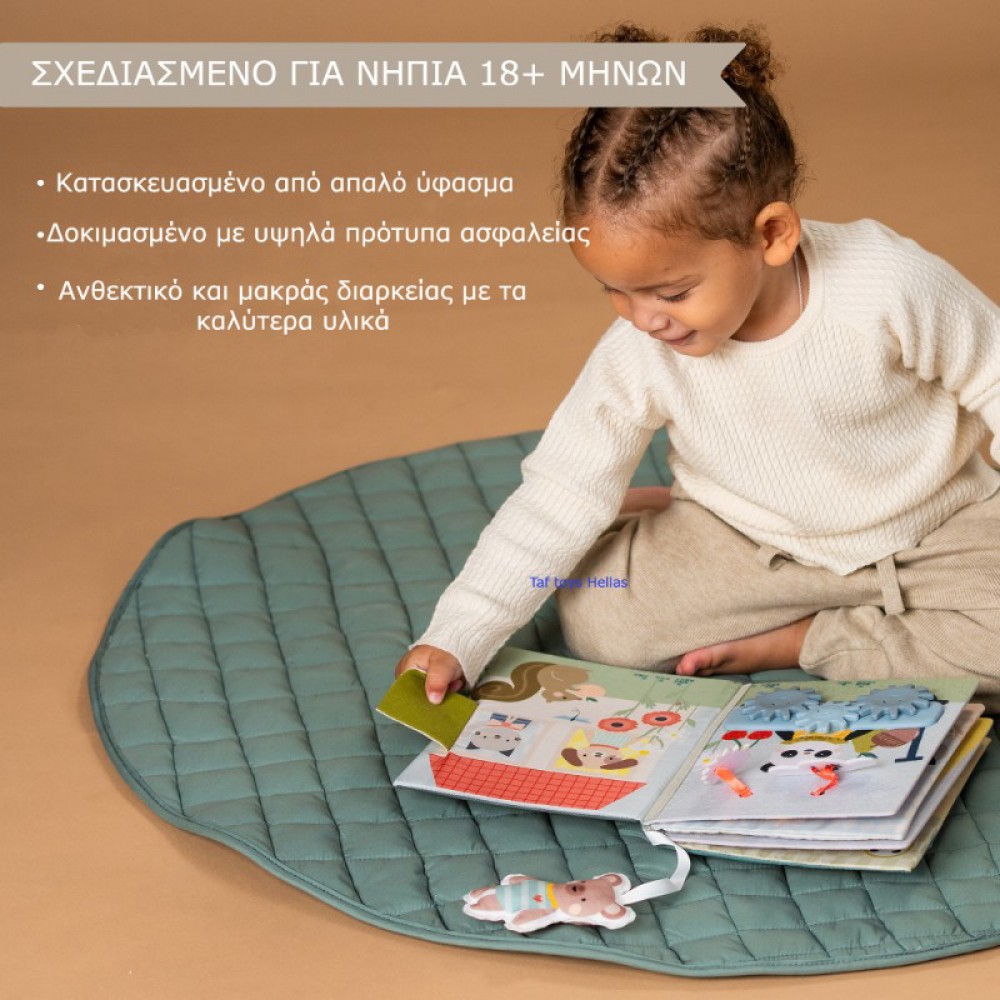 Βιβλίο Δραστηριοτήτων Taf Toys My Home Busy Book