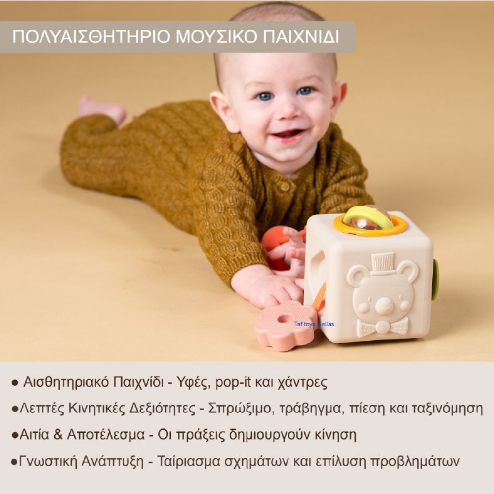 Κύβος Δραστηριοτήτων Σιλικόνης Taf Toys Peek & Play