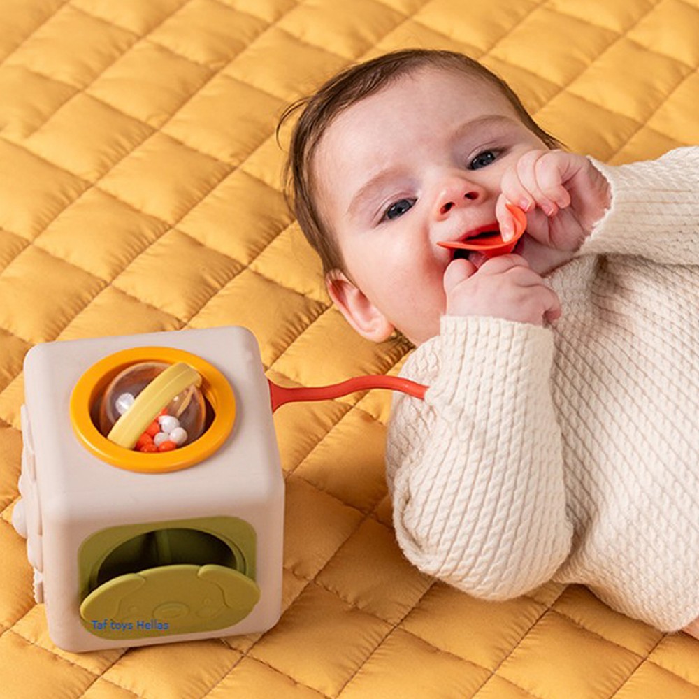 Κύβος Δραστηριοτήτων Σιλικόνης Taf Toys Peek & Play