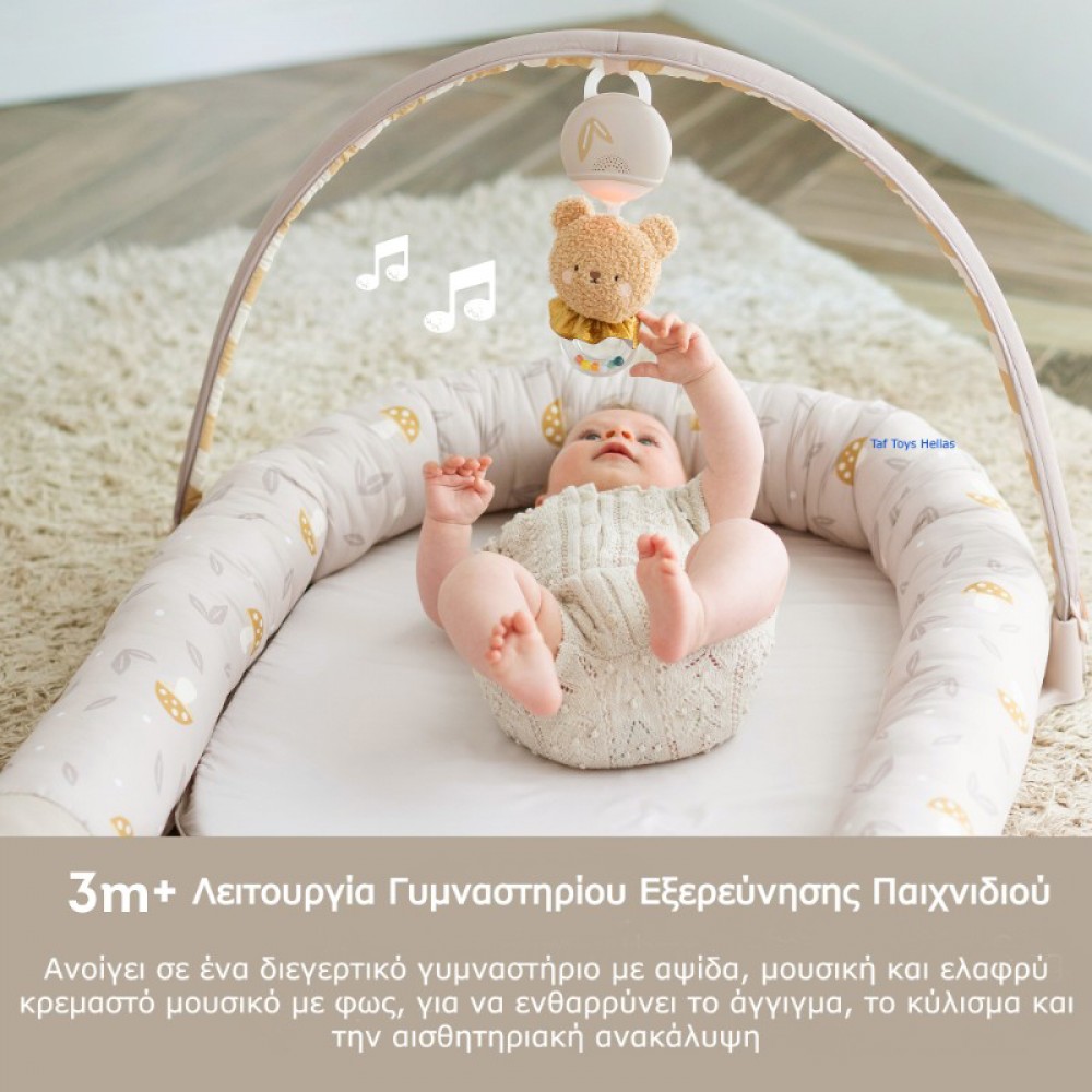 Γυμναστήριο - Φωλιά Taf Toys Snuggle Play Pod