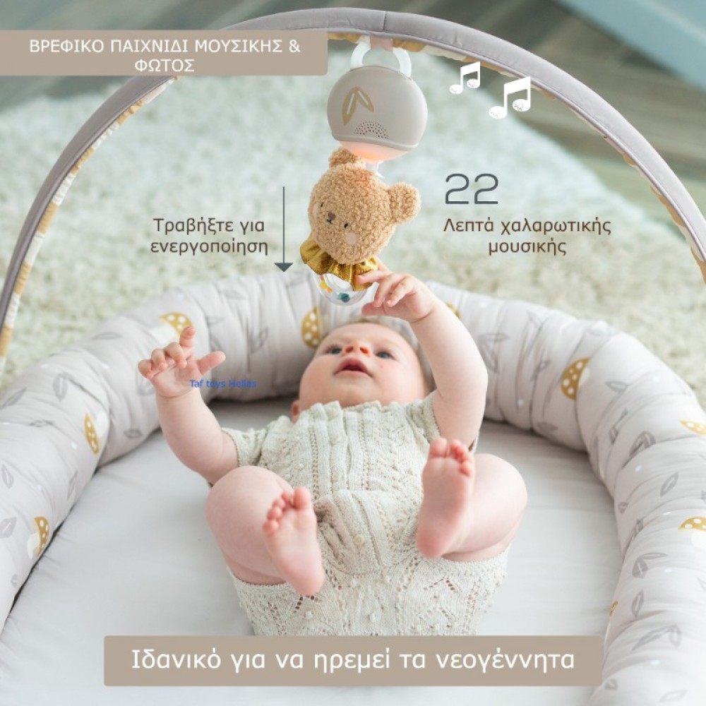 Γυμναστήριο - Φωλιά Taf Toys Snuggle Play Pod