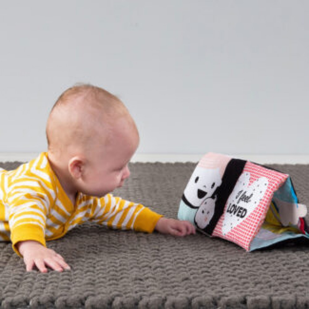 Πολύχρωμο Βιβλίο Taf Toys Διπλής Όψης ''My feelings Crinkle'' 