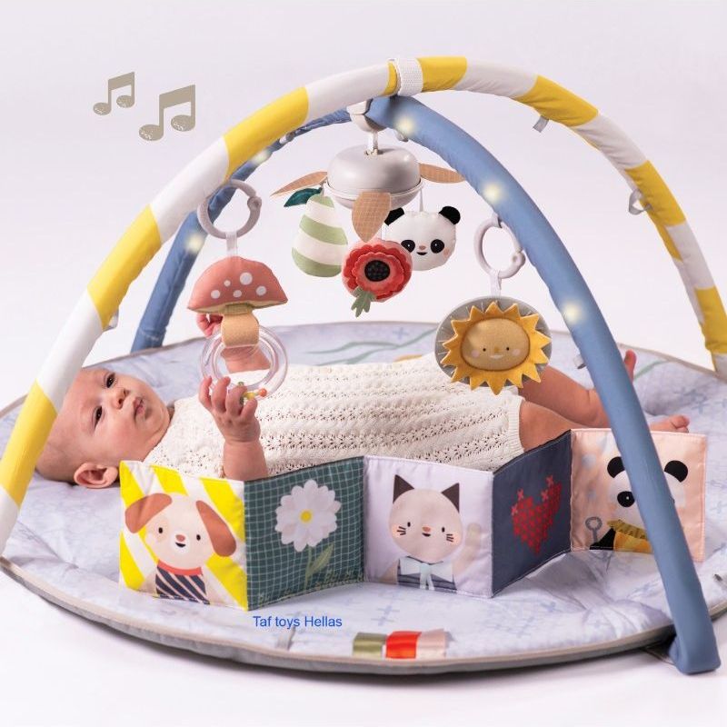 Γυμναστήριο Δραστηριοτήτων Taf Toys Melody Bloom Gym