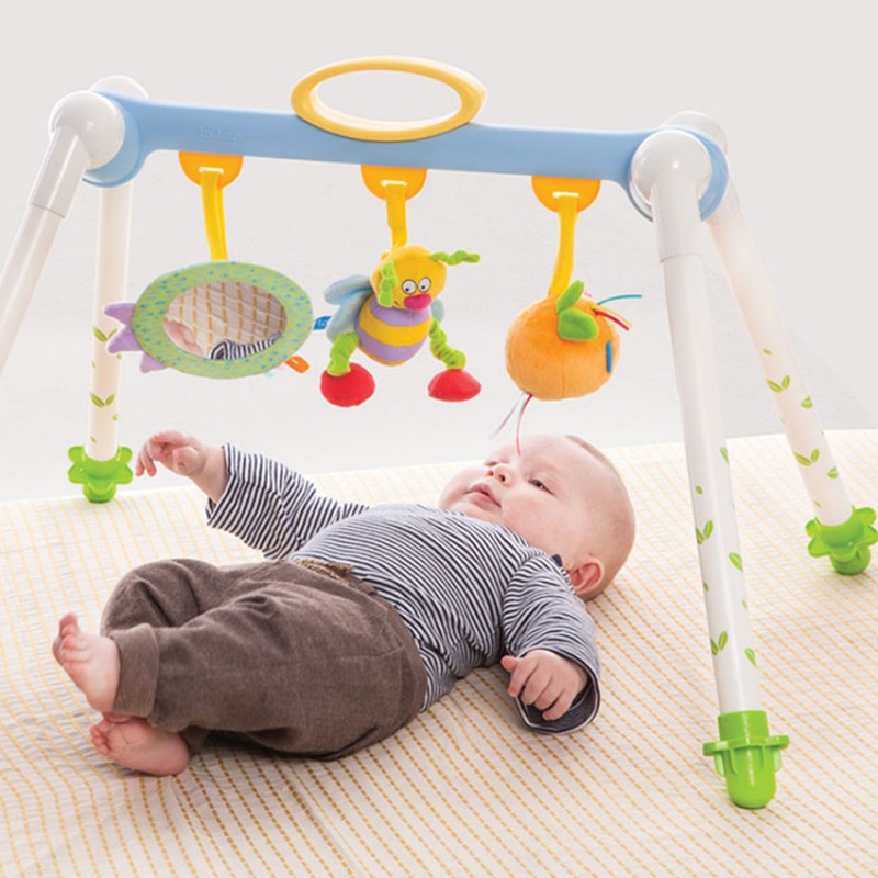 Βρεφικό Γυμναστήριο Taf Toys Take-to-Play Baby