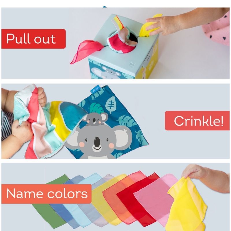 Εκπαιδευτικό Παιχνίδι Taf Toys Kimmy Koala Wonder Tissue Box