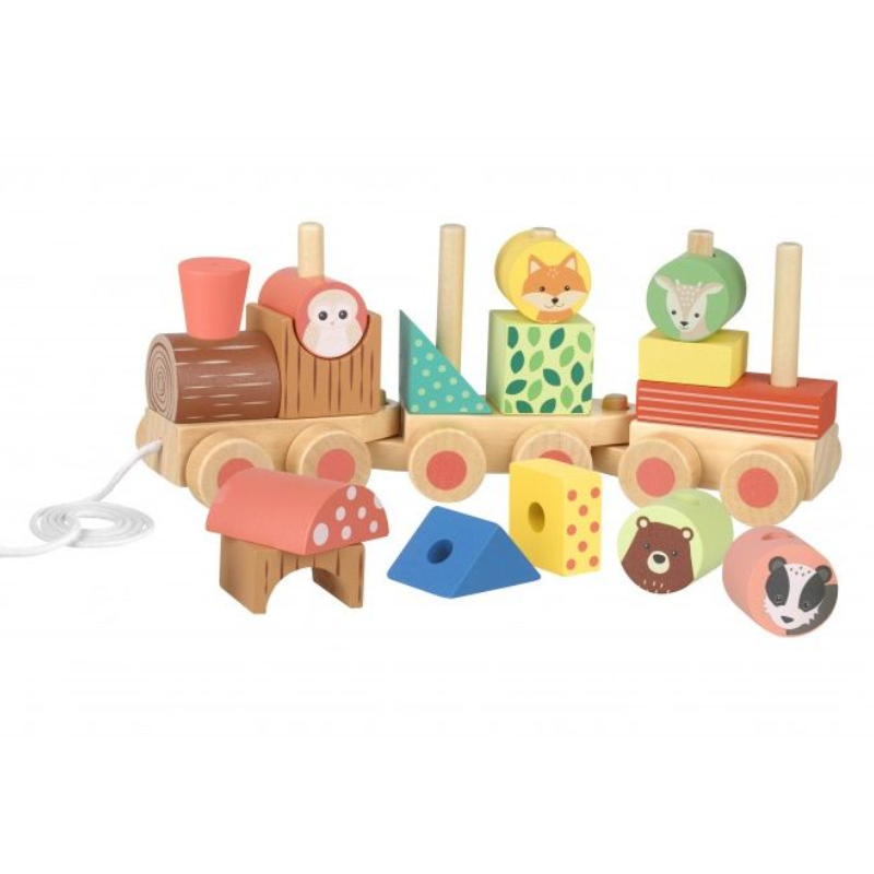 Ξύλινο Παιχνίδι Τρένο Woodland Orange Tree Toys