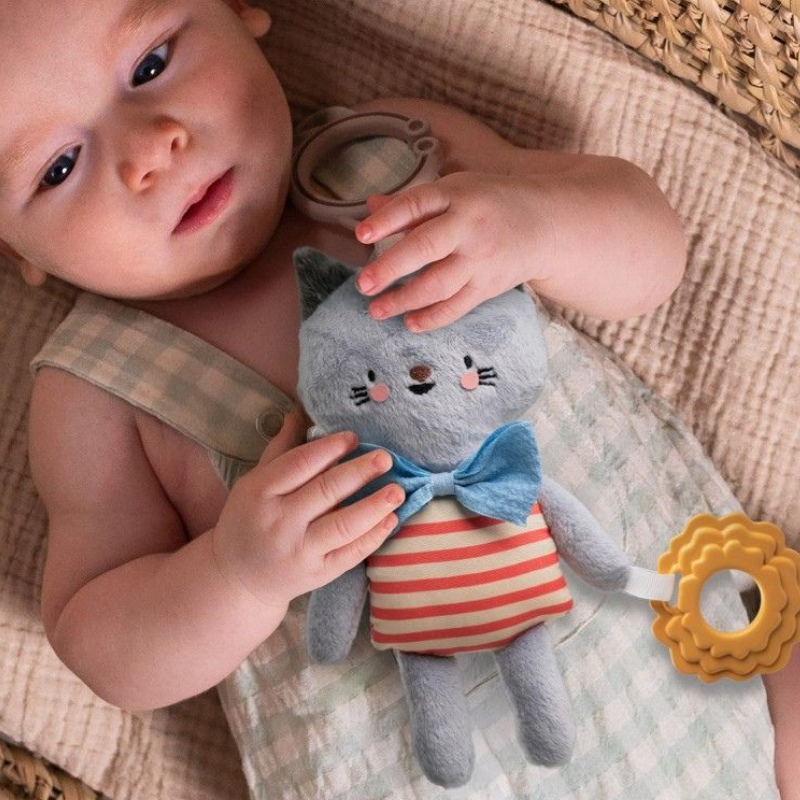 Κρεμαστό Παιχνίδι Taf Toys Clara