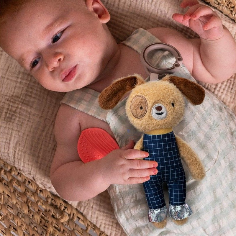 Κρεμαστό Παιχνίδι Taf Toys Daniel